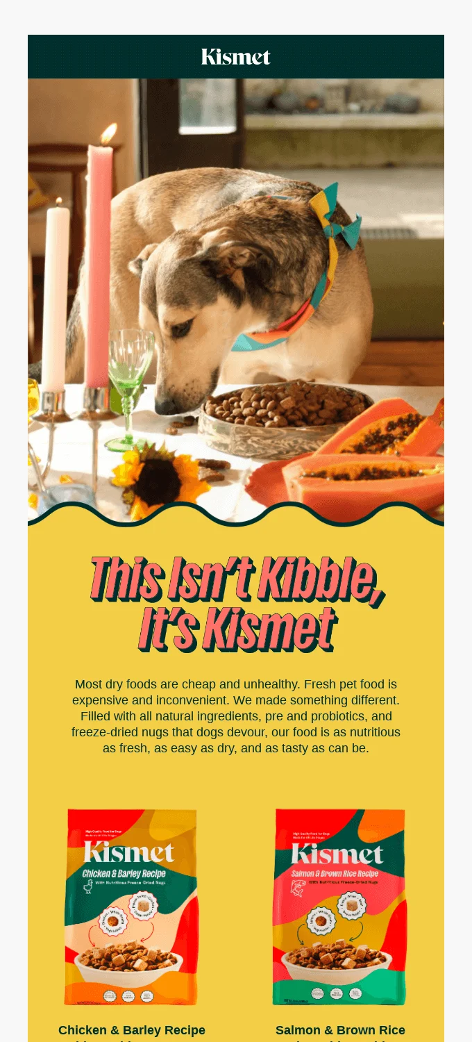 Kismet email headlined This Isn't Kibble, It's Kismet on a yellow block